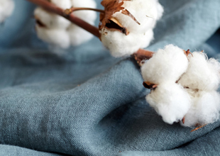 100% Cotton Fabric